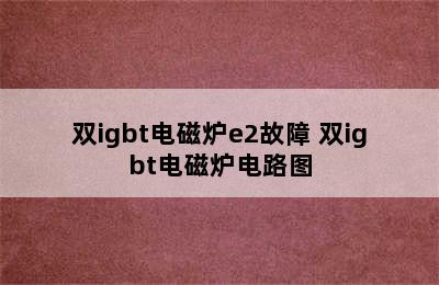 双igbt电磁炉e2故障 双igbt电磁炉电路图